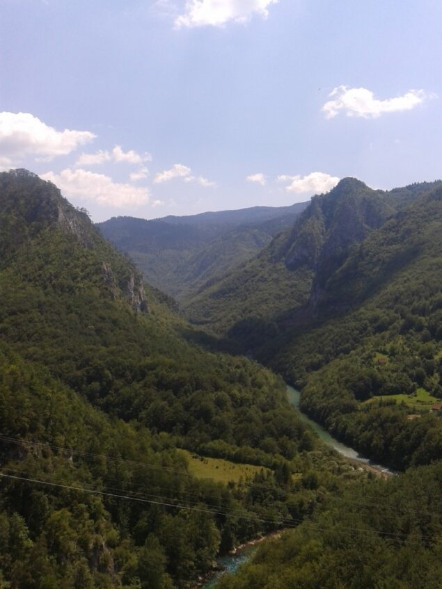 The Nature of Đurđevića Tara Bridge