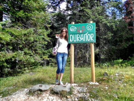 Forest in Durmitor. What can be seen