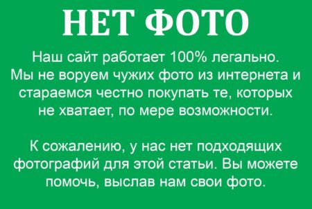 Маленькі будиночки в національному парку Дурмітор
