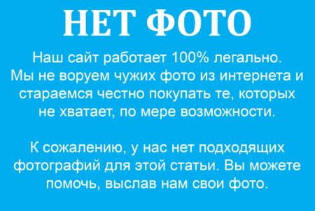 Усипальниця Негуша
