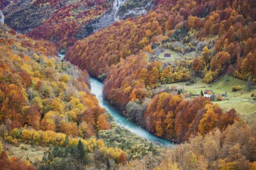 Осінь у Чорногорії біля мосту Джурджевича Тара